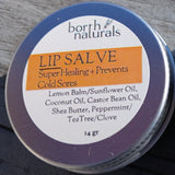 Lip Salve - Healing and Nourishing 3 varieties